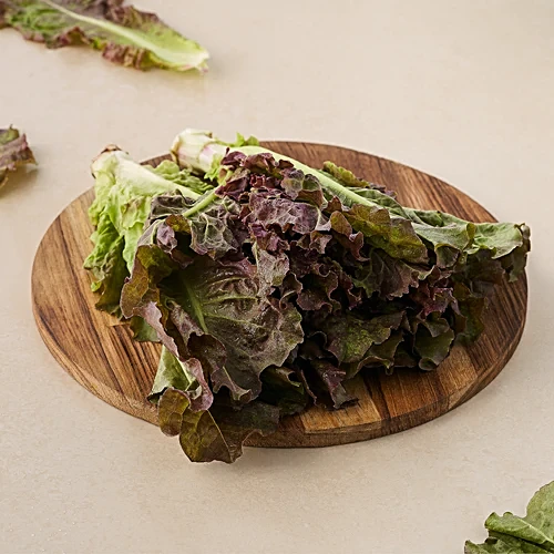 Lettuce Red