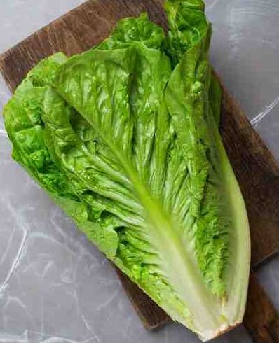 Romaine Lettuce