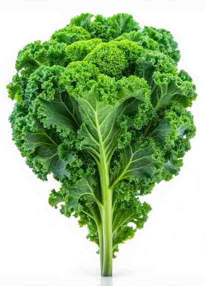Kale Leafs