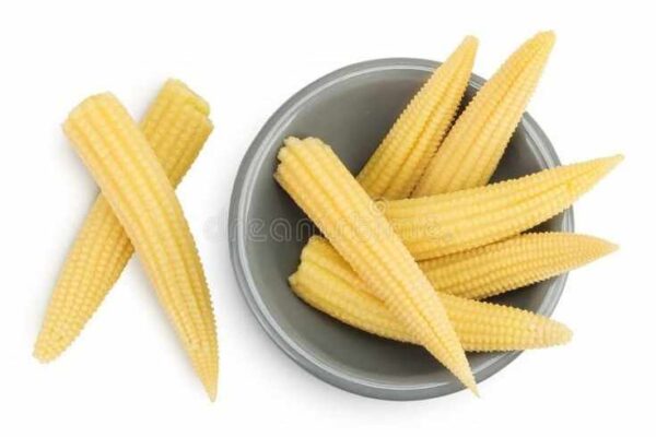 BABY CORN