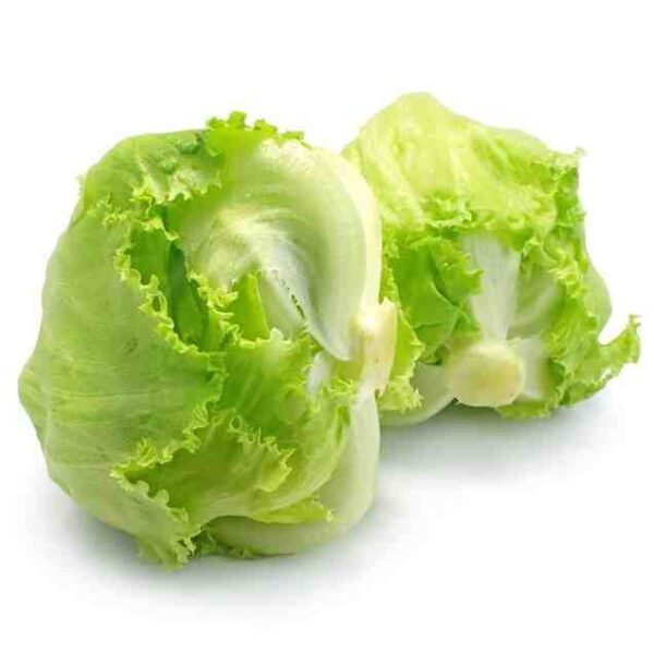 Lettuce Iceberg