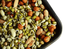 SPROUTS MIX